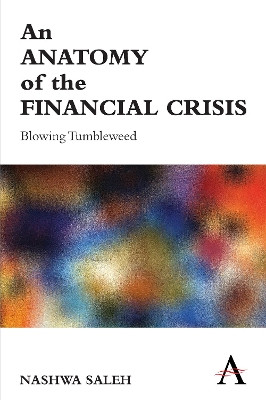 An Anatomy of the Financial Crisis: Blowing Tumbleweed by Nashwa Saleh 9780857289612