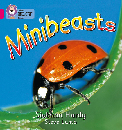 Minibeasts: Band 01A/Pink A (Collins Big Cat) by Siobhan Hardy Minibeasts: Band 01A/Pink A (Collins Big Cat) by Siobhan Hardy