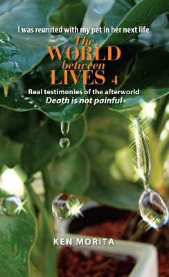 The world betweem lives 4: Real testimonies of the afterworld by Professor Ken Morita 9789937924511