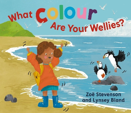 What Colour Are Your Wellies? by Zoë Stevenson 9781780278742