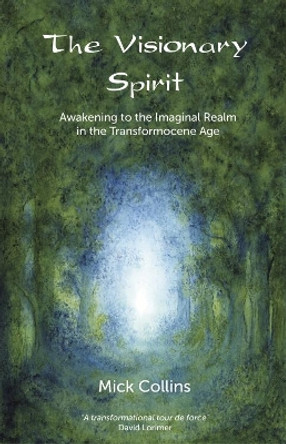 The Visionary Spirit: Awakening to the Imaginal Realm in the Transformocene Age by Mick Collins 9781856233156