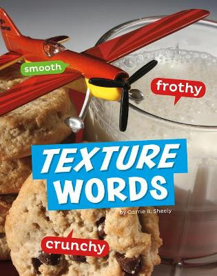 Texture Words by Carrie B Sheely 9781977113122