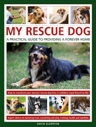 Rescue Dogs: A Practical Guide for Owners: The complete guide to adopting and caring for a rehomed dog by David Alderton 9780754835479