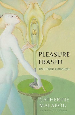 Pleasure Erased: The Clitoris Unthought by Catherine Malabou 9781509549924