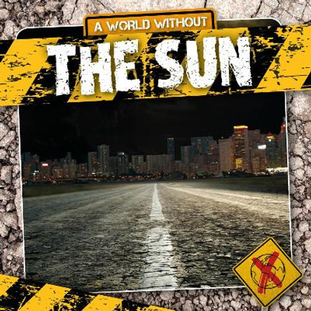 The Sun by William Anthony 9781839270390