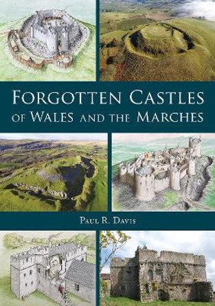 Forgotten Castles of Wales and the Marches by Paul R. Davis 9781910839522