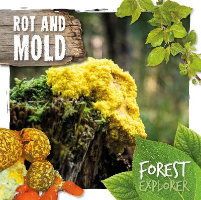 Rot & Mould by Robin Twiddy 9781786374790