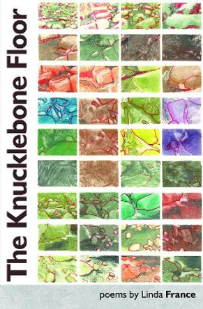 The Knucklebone Floor by Linda France 9781838465377