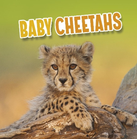 Baby Cheetahs by Martha E. H. Rustad 9781398223813