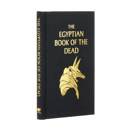 Egyptian Book of the Dead by EA Wallis Budge 9781398803695