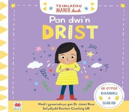 Teimladau Mawr Bach: Pan Dwi'n Drist by Dr Janes Rose 9781849676120