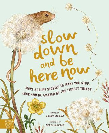 Slow Down and Be Here Now: 20 Nature Stories That Make You Stop, Look and Be Amazing by the Tiniest Things by Laura Brand 9781913520656