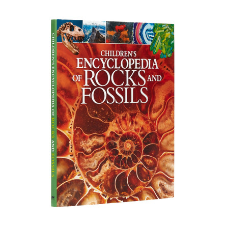 Children's Encyclopedia of Rocks and Fossils by Claudia Martin 9781788885362