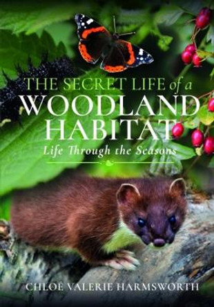 The Secret Life of a Woodland Habitat : Life Through the Seasons by Chlo  Valerie Harmsworth 9781399093347