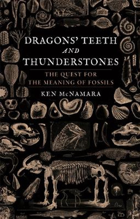 Dragons' Teeth and Thunderstones: The Quest for the Meaning of Fossils by Kenneth J. McNamara 9781789142907