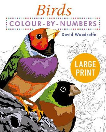 Large Print Colour by Numbers Birds: Easy-to-Read by David Woodroffe 9781398808904