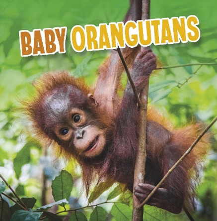 Baby Orangutans by Martha E. H. Rustad 9781398223974