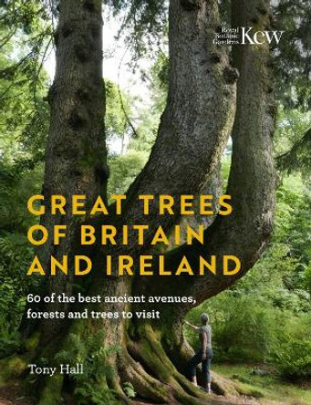 Great Trees of Britain and Ireland: Over 70 of the best ancient avenues, forests and trees to visit by Tony Hall 9781842467466