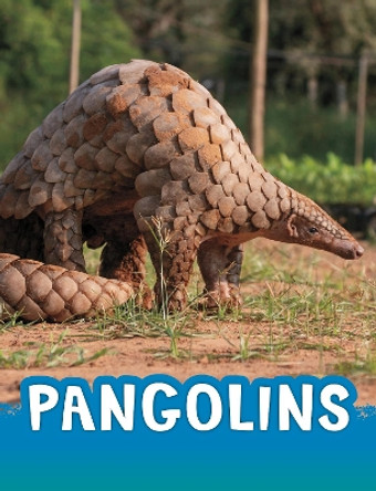 Pangolins by Jaclyn Jaycox 9781398238848