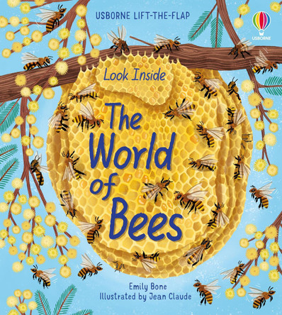 Look Inside the World of Bees by Emily Bone 9781474983198