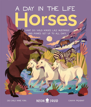 Horses (A Day in the Life): What Do Wild Horses Like Mustangs and Ponies Get Up To All Day? by York, Carly Anne 9781838992309
