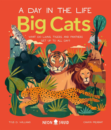 Big Cats (A Day in the Life): What Do Lions, Tigers and Panthers Get up to all day? by Neon Squid 9781838991548