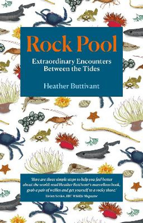 Rock Pool: Extraordinary Encounters Between the Tides: A Life -Long Fascination told in Twenty-Four Creatures by Heather Buttivant 9781912836123