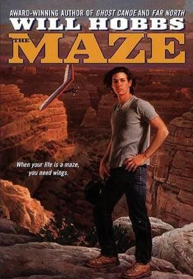 Maze by Will Hobbs 9780380729135