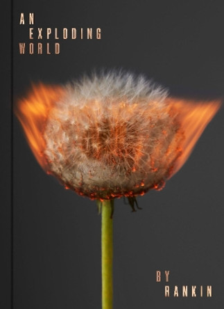 An Exploding World by Rankin 9780995574182