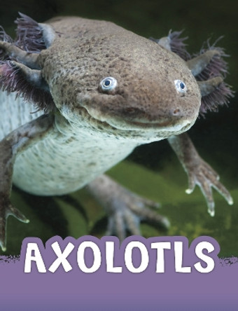 Axolotls by Jaclyn Jaycox 9781398243927