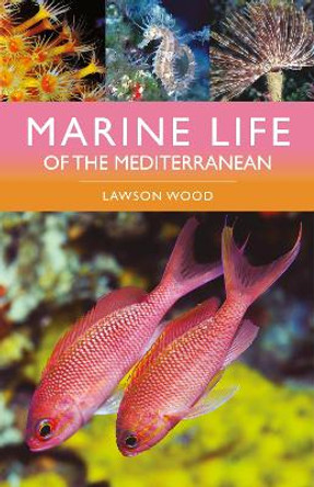 Marine Life of the Mediterranean by Lawson Wood 9781399411707