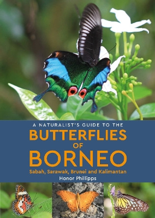A Naturalist's Guide to the Butterflies of Borneo by Honor Phillipps 9781906780692