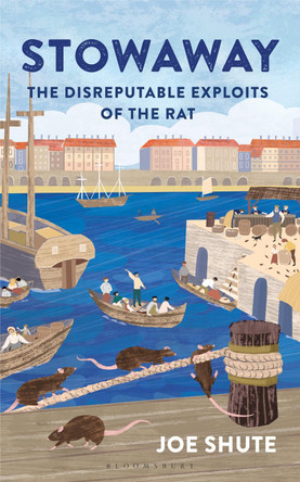 Stowaway: The Disreputable Exploits of the Rat by Joe Shute 9781399402507