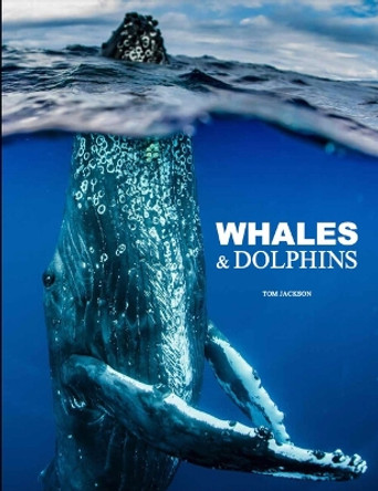 Whales & Dolphins by Tom Jackson 9781838864248