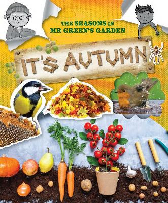 The Seasons In Mr Green's Garden: It's Autumn by Ruth Owen 9781788563482