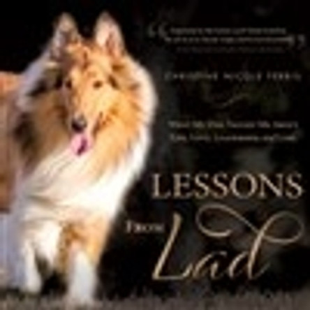 Lessons from Lad: What My Dog Taught Me about Life, Love, Leadership, and Loss by Christine Nicole Ferris 9781646458103