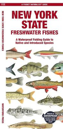 New York State Freshwater Fishes: A Waterproof Folding Guide to Native and Introduced Species by Matthew Morris 9781620056660