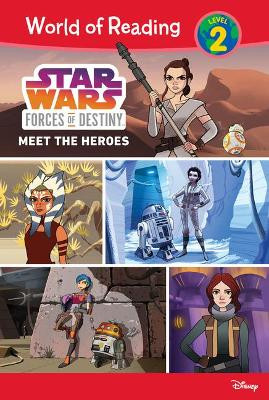 Meet the Heroes by Ella Patrick 9781532144158