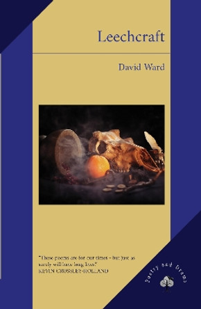 Leechcraft by David Ward 9781739323950
