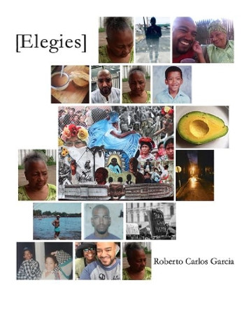 [elegies] by Roberto Carlos Garcia 9781953447920