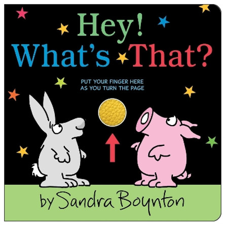 Hey! What's That? by Sandra Boynton 9781665952187