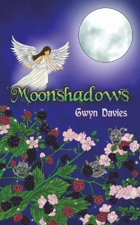 Moonshadows by Gwyn Davies 9781398413924