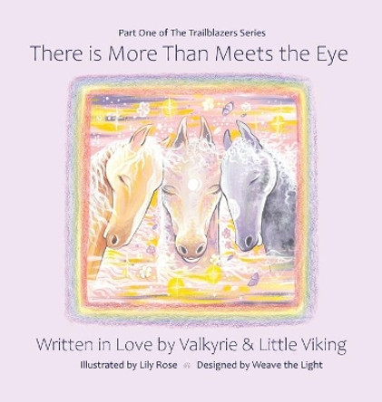 There is More Than Meets the Eye by Valkyrie 9780578301259