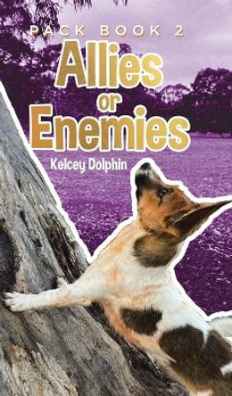 Allies or Enemies by Kelcey Dolphin 9780228881469