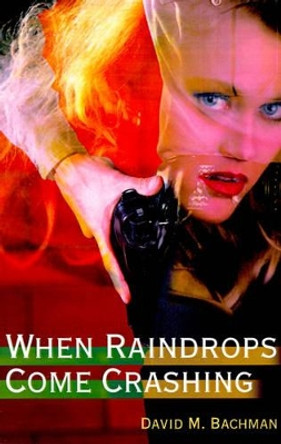 When Raindrops Come Crashing by David M Bachman 9780595169238