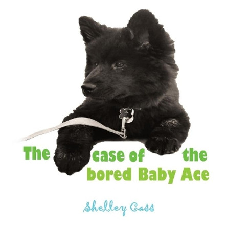 The Case of the Bored Baby Ace: Book Two in the Sleep Sweet Series by Shelley Cass 9780645111880