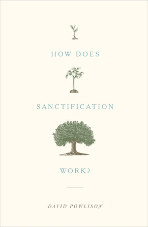 How Does Sanctification Work? by David Powlison