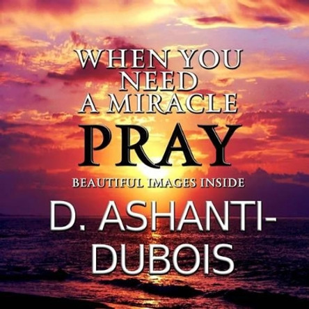 When You Need A Miracle - Pray by D Ashanti-DuBois 9780692022030