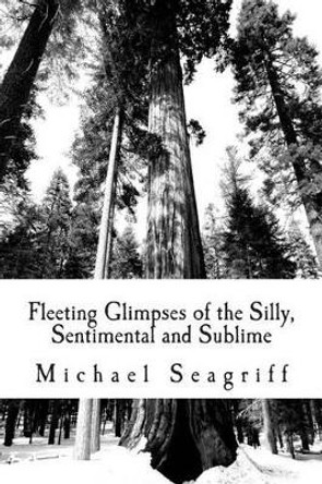 Fleeting Glimpses of the Silly, Sentimental and Sublime by Michael Seagriff 9780692210765