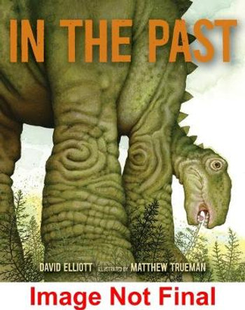 In the Past: From Trilobites to Dinosaurs to Mammoths in More Than 500 Million Years by Elliott David 9780763660734